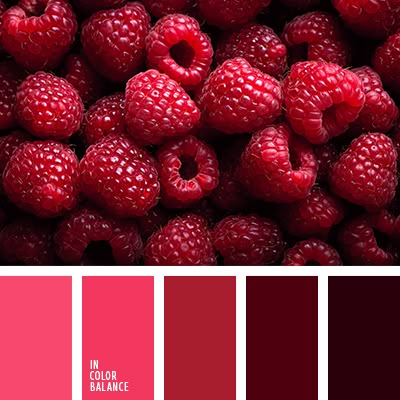 Autumn Colours for 2025: Part 2 – From Deep Reds to Autumnal Purples and Fall Burnt Oranges