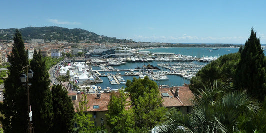 More from Cannes Film Festival: Ladies of the Red Carpet - A Hand Tailored Suit