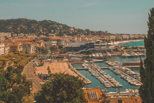 The Opening of Cannes Film Festival 2022: Ladies of the Red Carpet - A Hand Tailored Suit