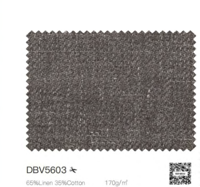 DBV5603