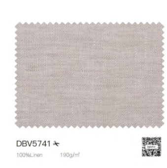 DBV5741