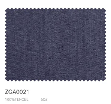 ZGA0021